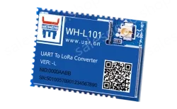 LoRa module