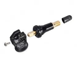 Autel MX-Sensor 433/315MHz 2 IN 1