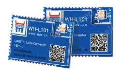 LoRa module